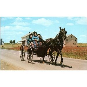 Amish Girls in Horse & Buggy Pennsylvania Dutch Country Vintage Postcard PD5